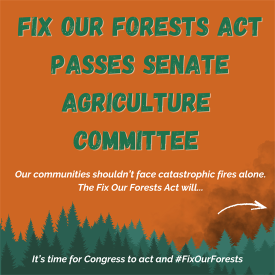 Graphics explaining what the Fix Our Forests Act does