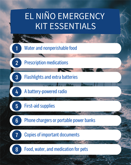A list of items to pack in a storm emergency kit