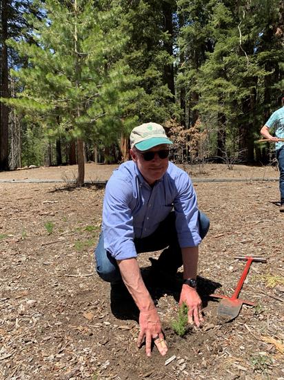 scott tree planting sequoia trip