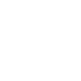twitter icon